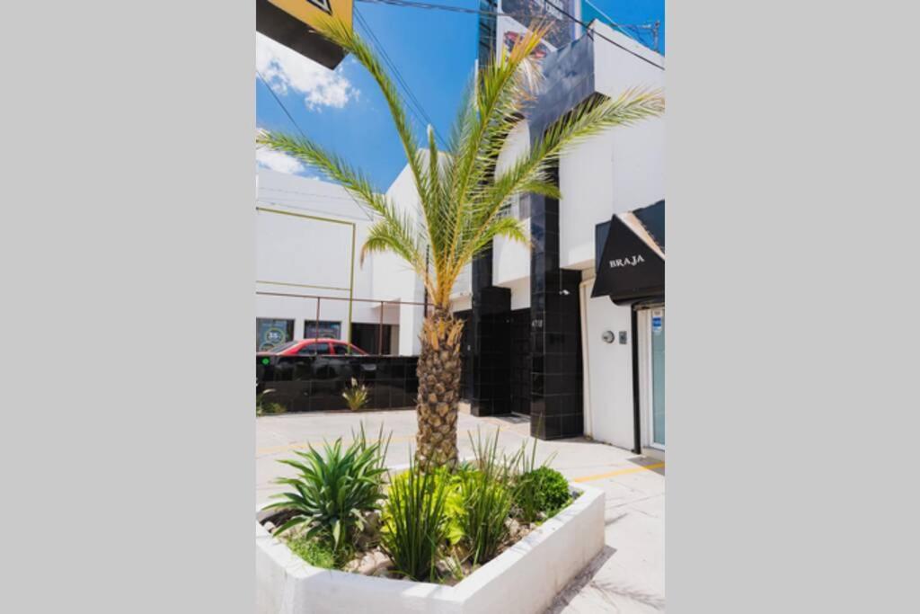 Departamento Res Campestre De 3 Habitaciones Y 4 Camas Чиуауа Екстериор снимка
